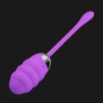 Huevo Vibrador Franck - Imagen 3