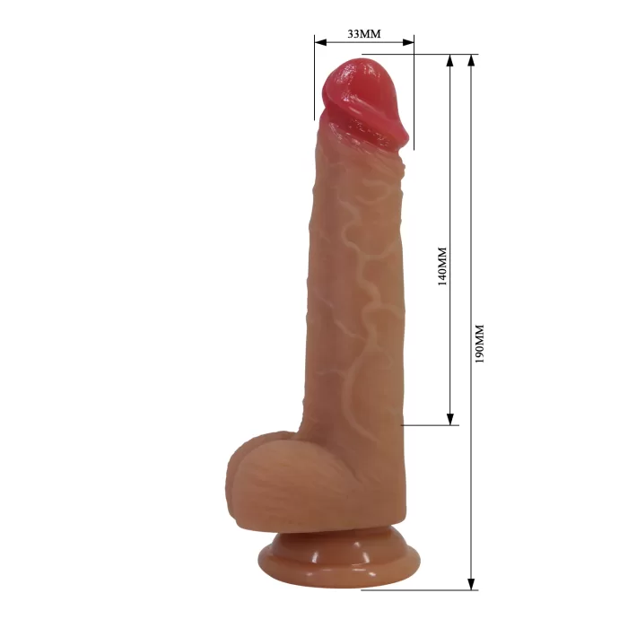 Medidas del dildo realista
